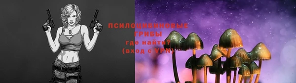 гашик Алзамай