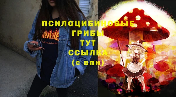 spice Алексеевка