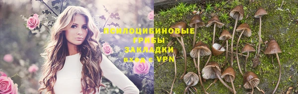 гашик Алзамай