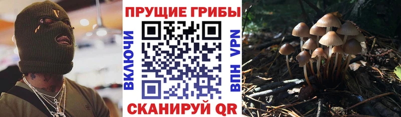 Псилоцибиновые грибы Magic Shrooms  Жуков 